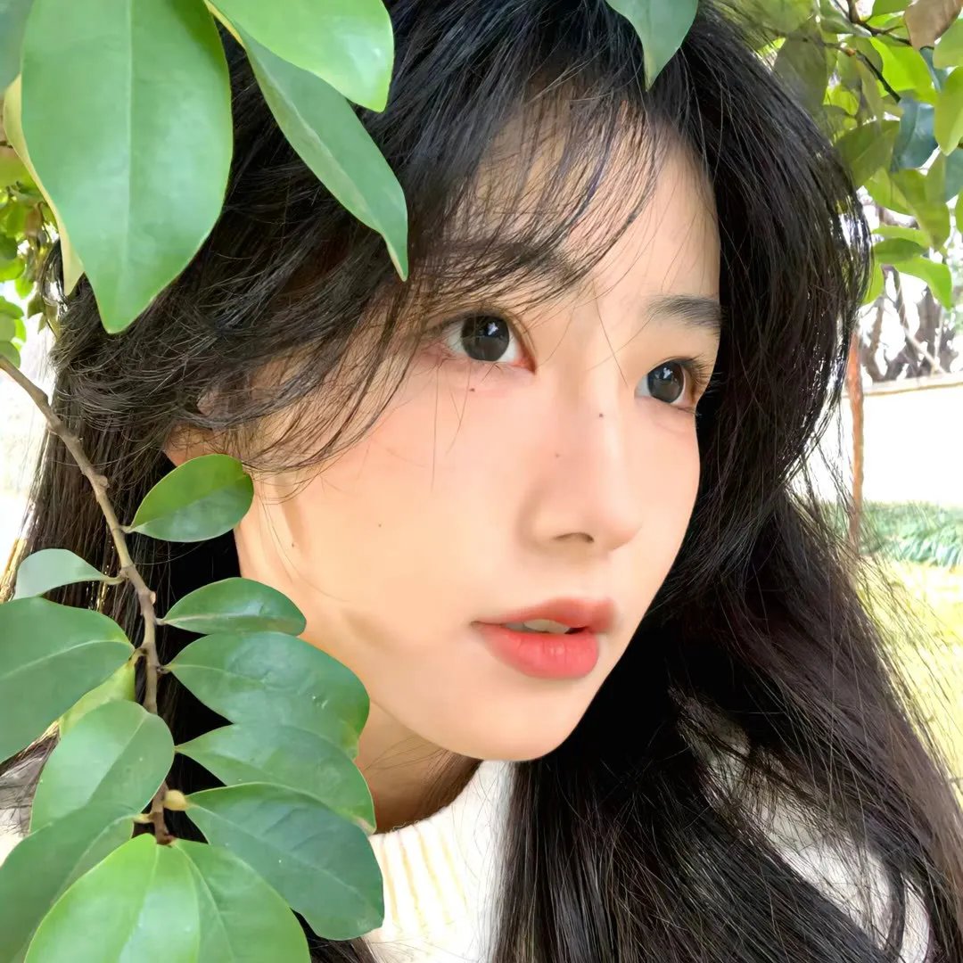 生活，高于一切